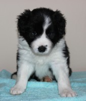 /album/jack/img-6236-jpg/