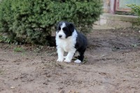 /album/jack/img-5827-jpg/