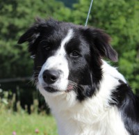 /album/jack/img-87734-jpg1/