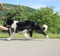 /album/jack/img-87055-jpg1/