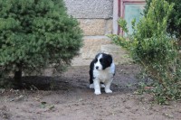 /album/jack/img-5818-jpg/