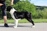 /album/jack/img-8770-jpg/