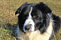 /album/jack/img-9695-jpg/