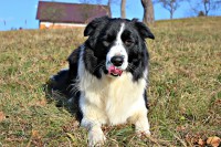 /album/jack/img-9702-jpg/