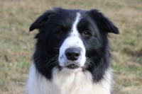 /album/jack/img-9734-jpg/