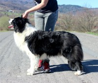 /album/jack/img-0249-jpg/