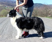 /album/jack/img-0252-jpg/