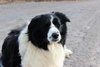 /album/jack/img-0152-jpg/