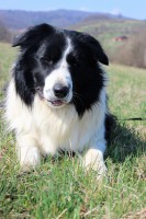 /album/jack/img-0339-jpg/