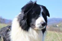 /album/jack/img-0355-jpg/