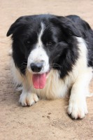 /album/jack/img-0423-jpg/