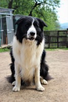 /album/jack/img-0424-jpg/