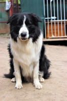 /album/jack/img-0426-jpg/